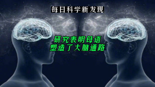 研究表明母语塑造了大脑通路_新浪新闻
