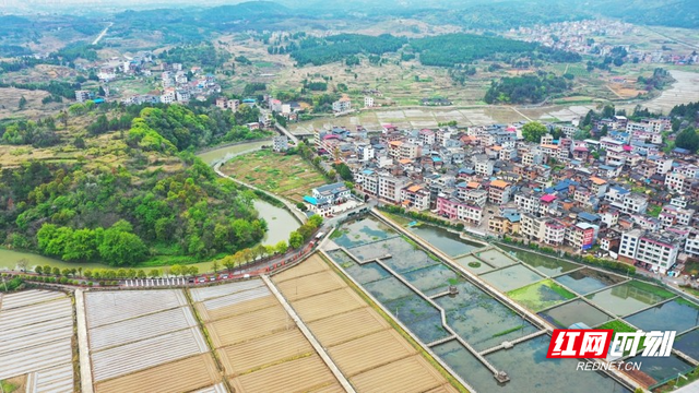 中山街道潭田村,青山環抱,碧水縈繞,翻耕後的方塊田地與連片果蔬大棚