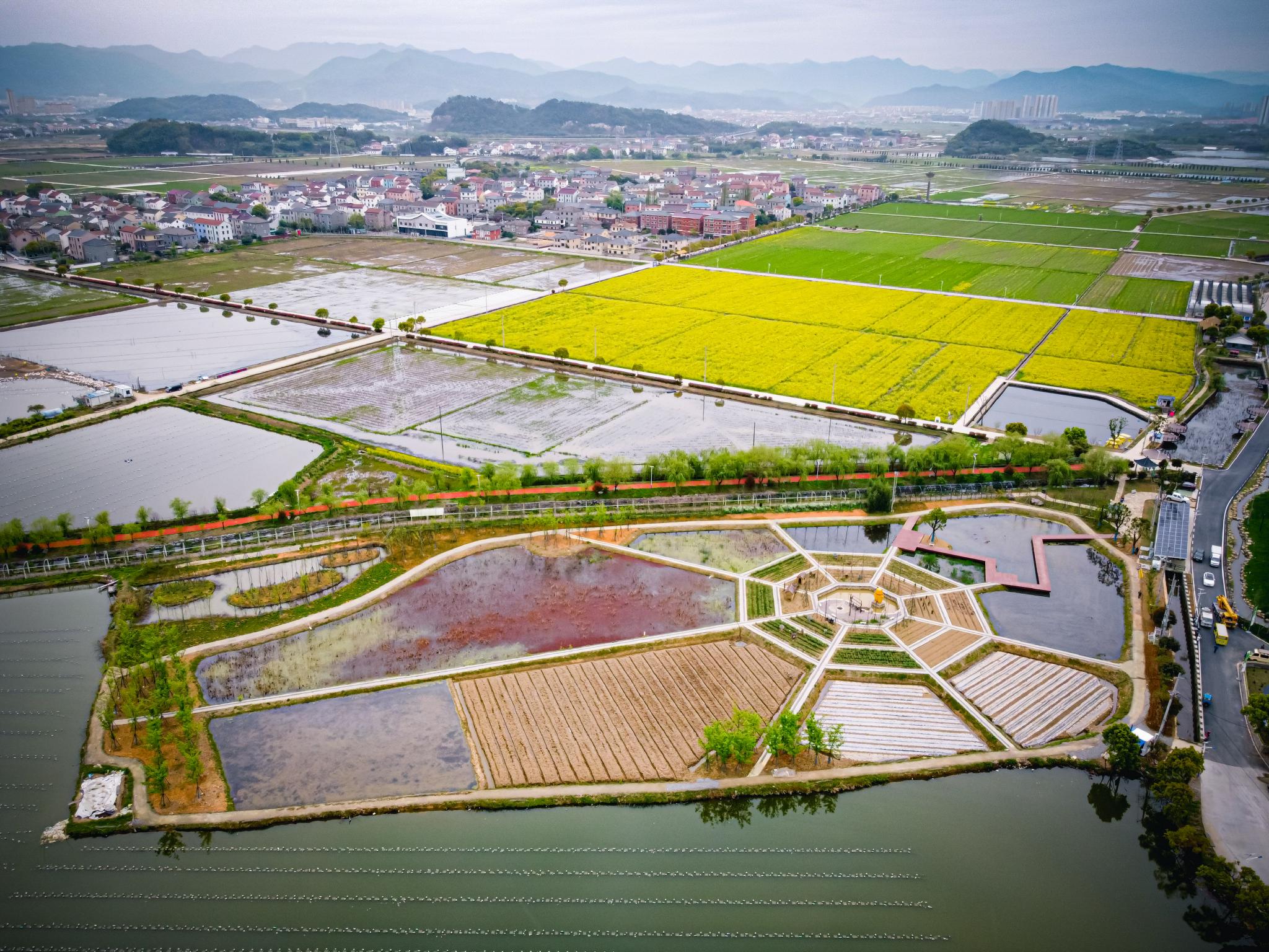浙江诸暨:农旅融合发展助力乡村共富|诸暨|浙江|枫桥镇_新浪新闻