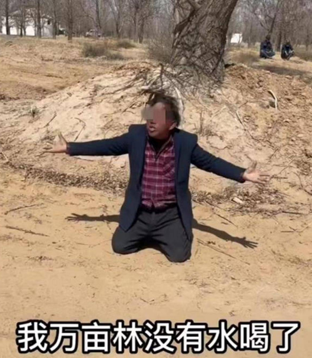 近日，宁夏一林场主跪地求水的视频引起广泛关注。截图来自社交媒体视频