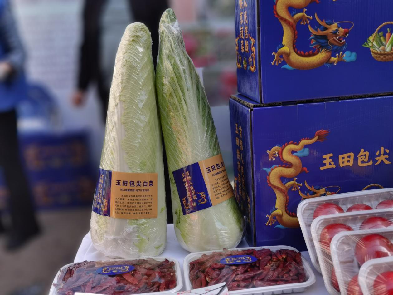 河北特色蔬菜产品——玉田包尖白菜.张淑梅 摄