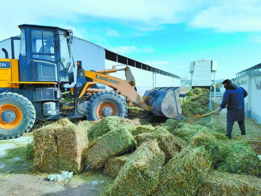 饲草加工. 潘玲/摄