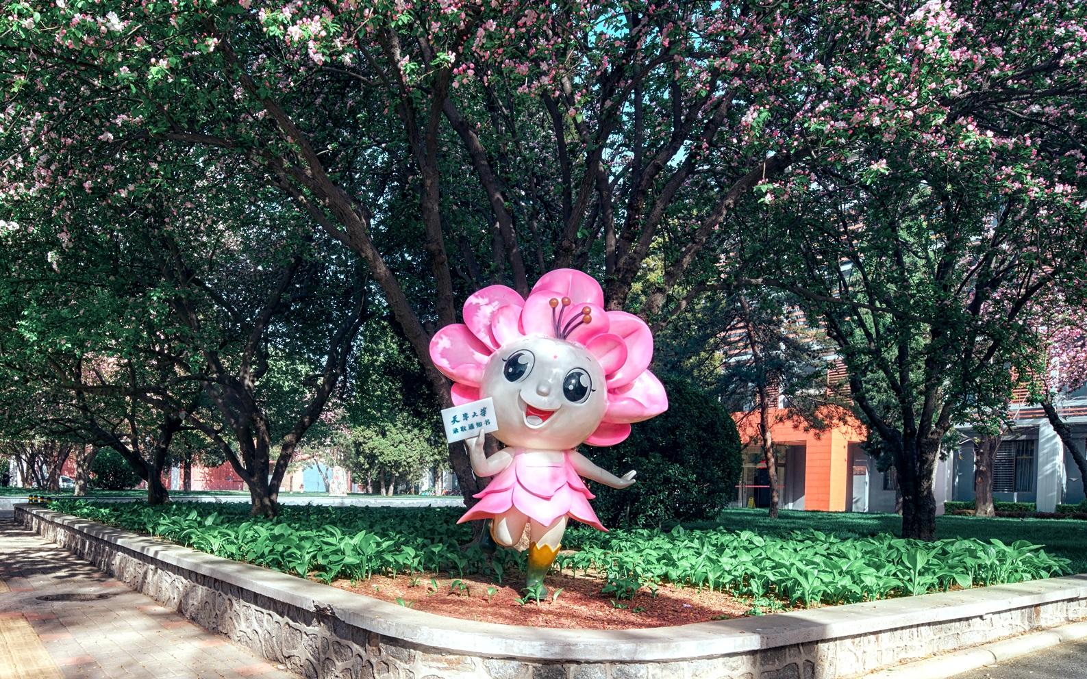天津大学校园内的海棠花吉祥物雕塑. 受访者供图