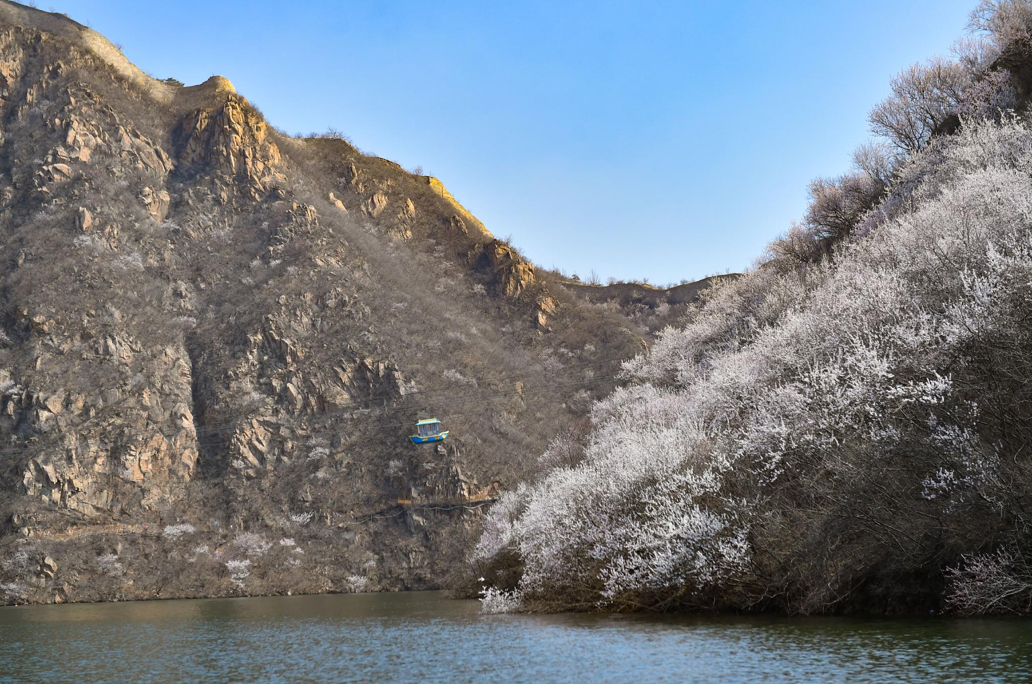 壮美山河 看长城花开|长城|张晨_新浪新闻