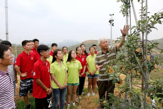 孙建设教授在顺平指导苹果栽培技术.河北农业大学供图