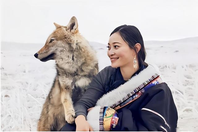 于是,跟亦风商量了一晚上,李微漪作出了一个重要的决定:让格林回归