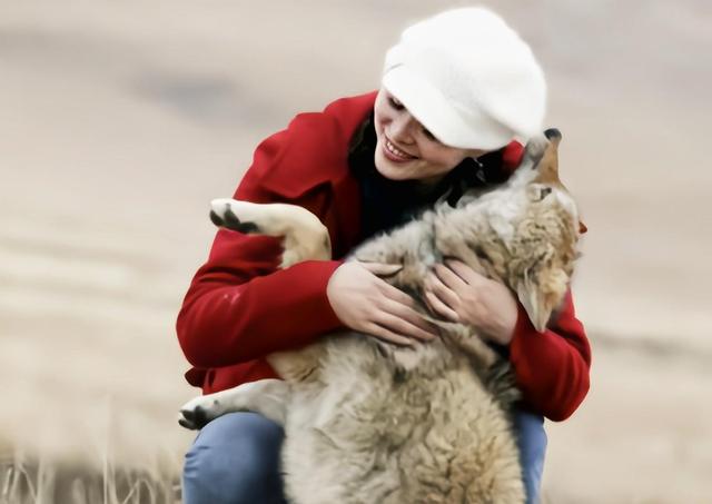 2010年,美女画家李微漪,化身"狼妈"与狼共舞,感动全网|格林|李微漪