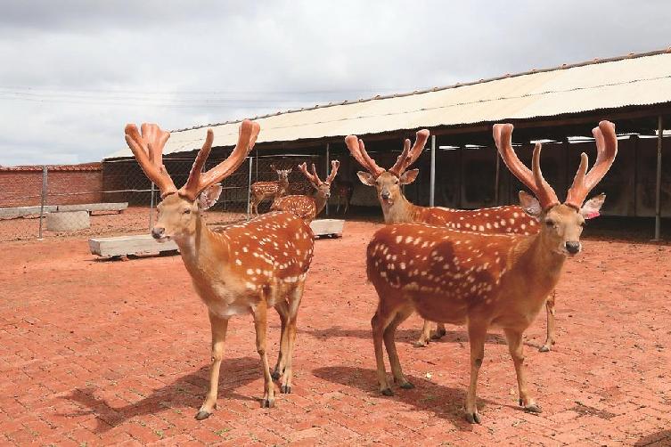 华体会- 华体会体育官网- 华体会体育APP下载下列各项中不属于国家审计实施阶段的工作是( )。