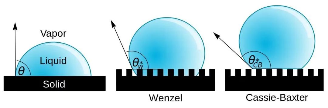 喝酸奶到底要不要舔盖？是时候告诉你真相了！休闲区蓝鸢梦想 - Www.slyday.coM