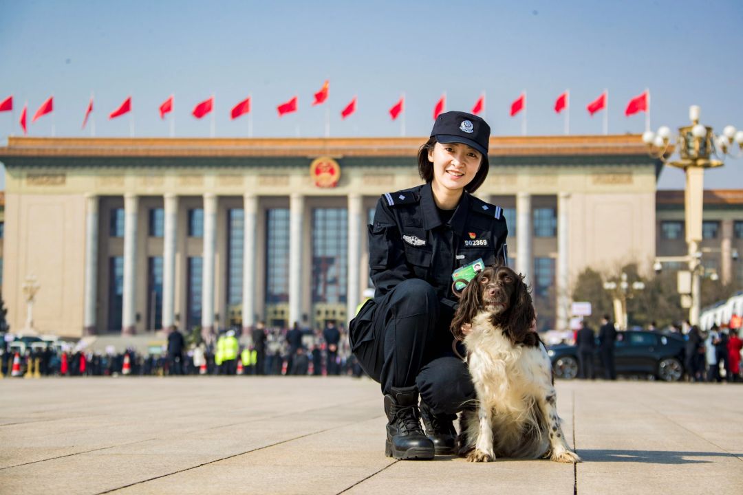 北京女子警犬队图片