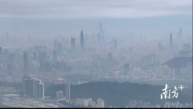 雾里看城,云中观海,雨季深圳别样美__财经头条