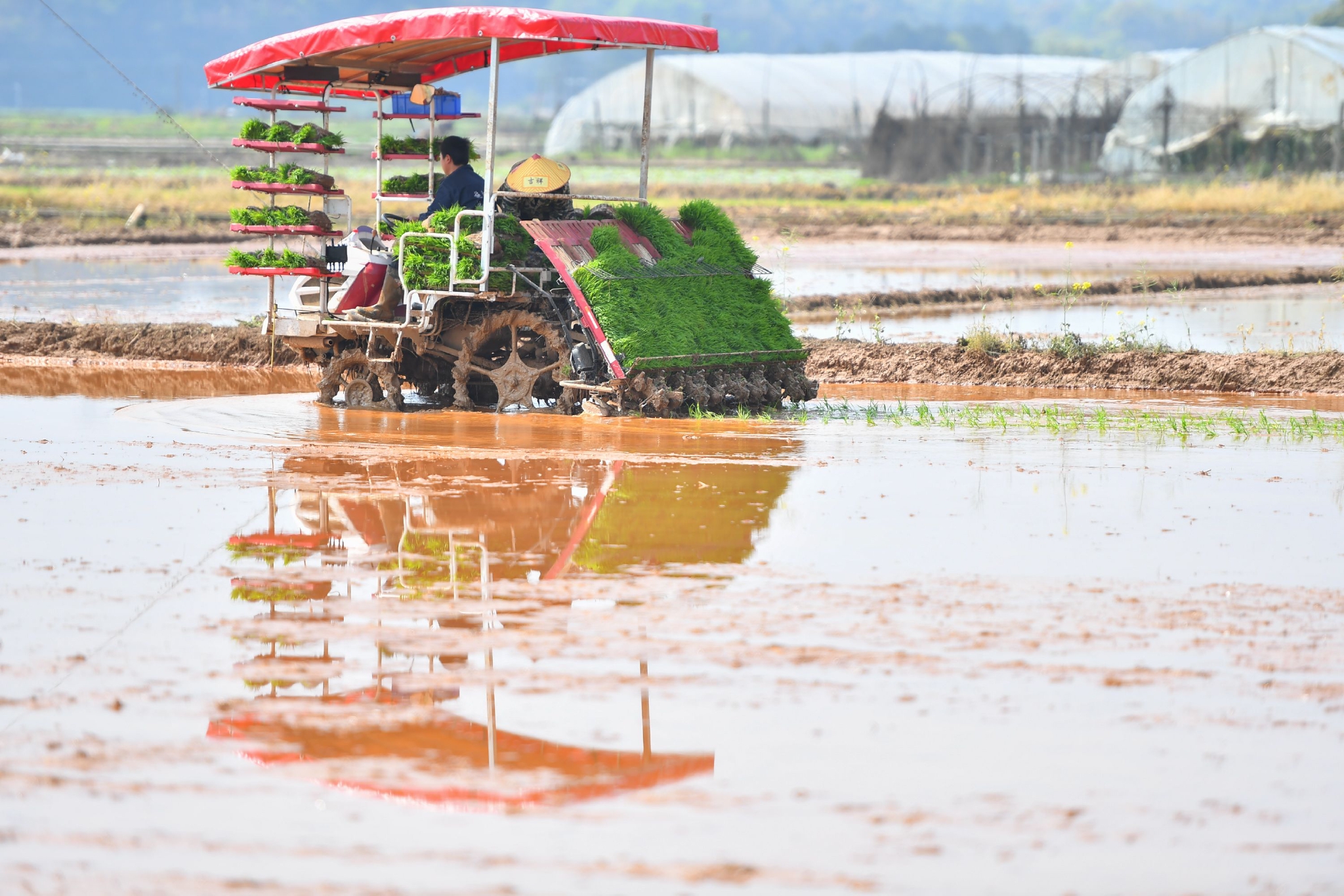 春季耕种正当时 机械插秧"加速度"