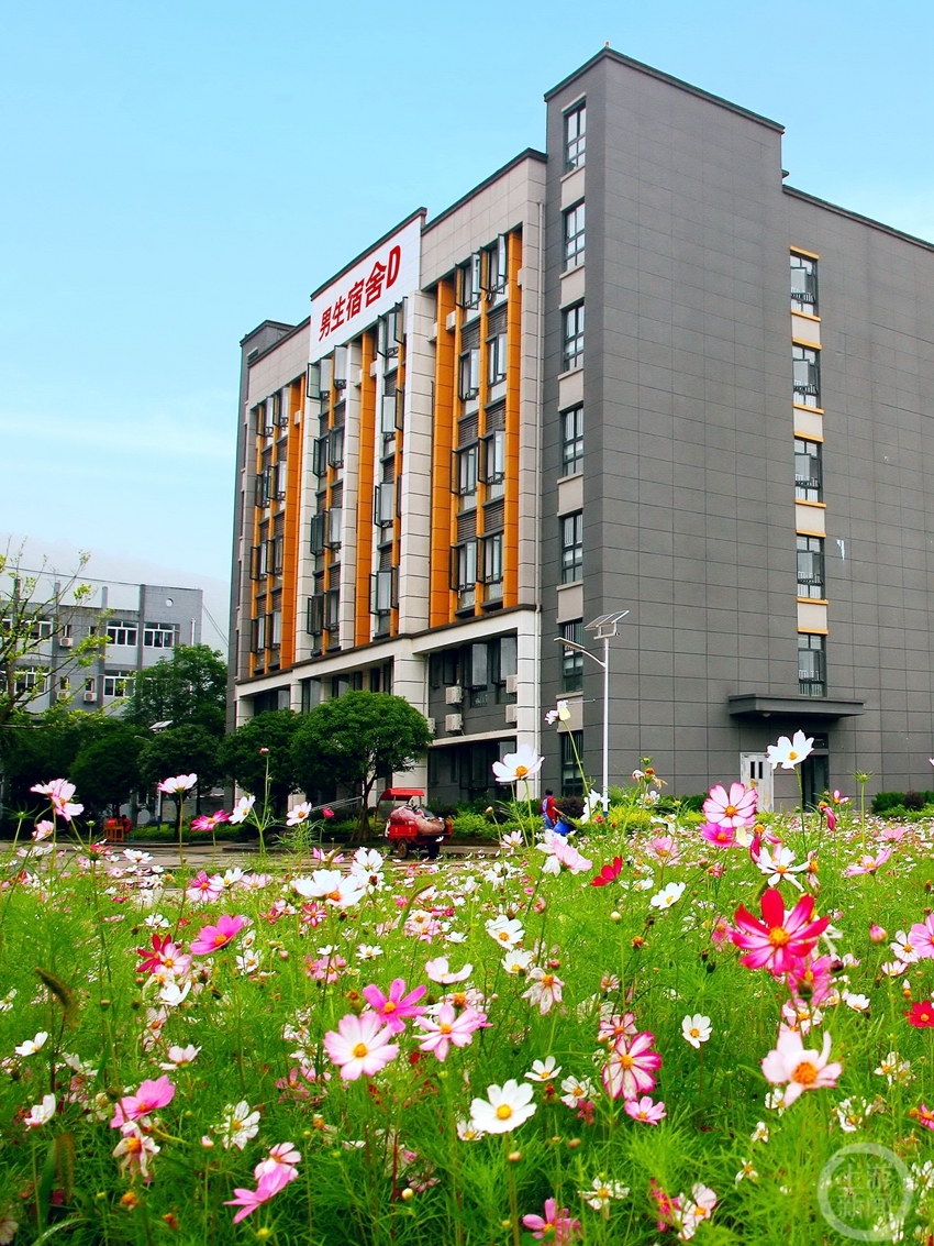 上游新闻带你看校花(13)丨重庆工贸技师学院 江德龙摄影作品|摄影