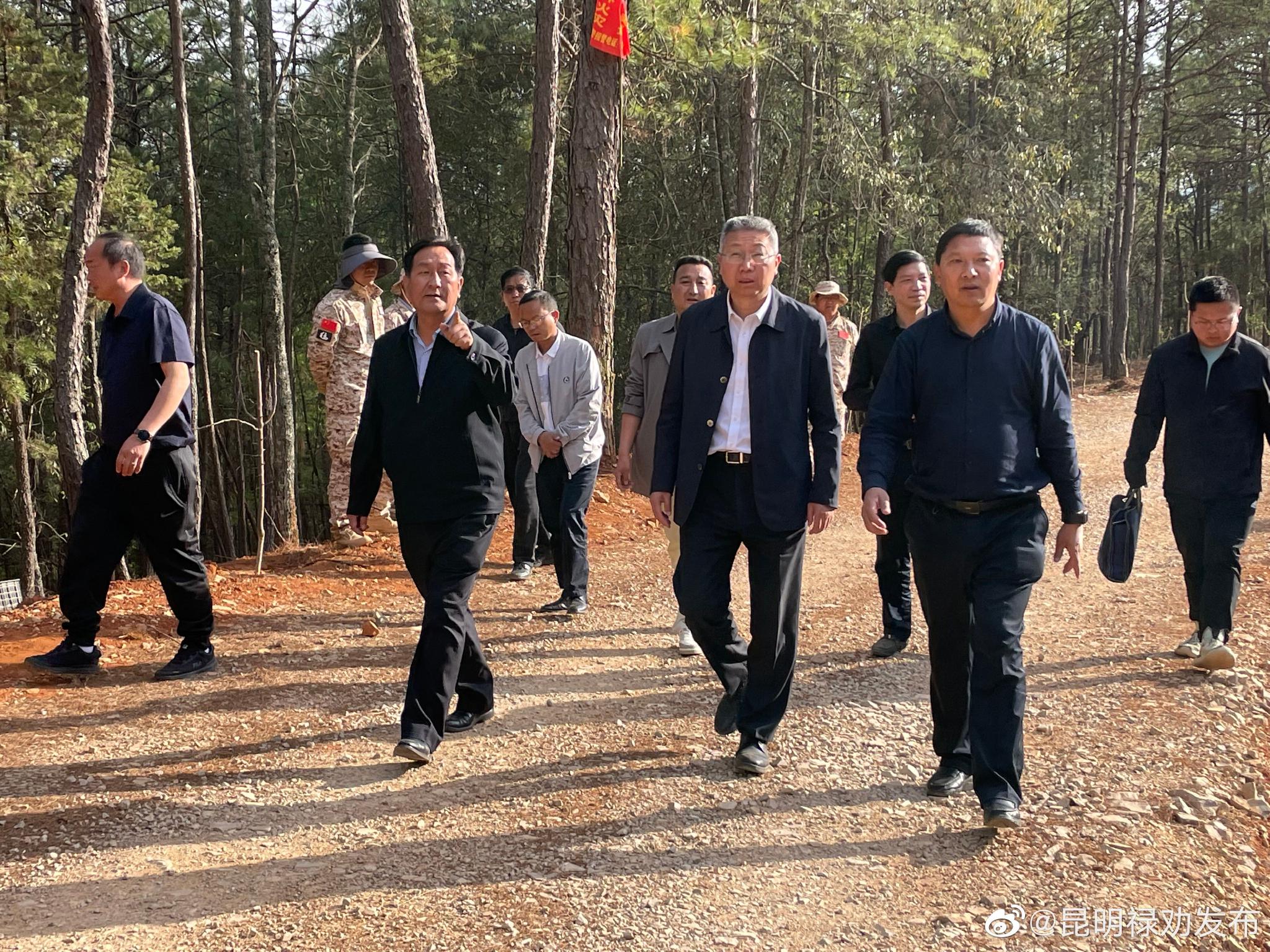 禄劝:以防为主 防灭结合 确保全县森林防火态势平稳可控