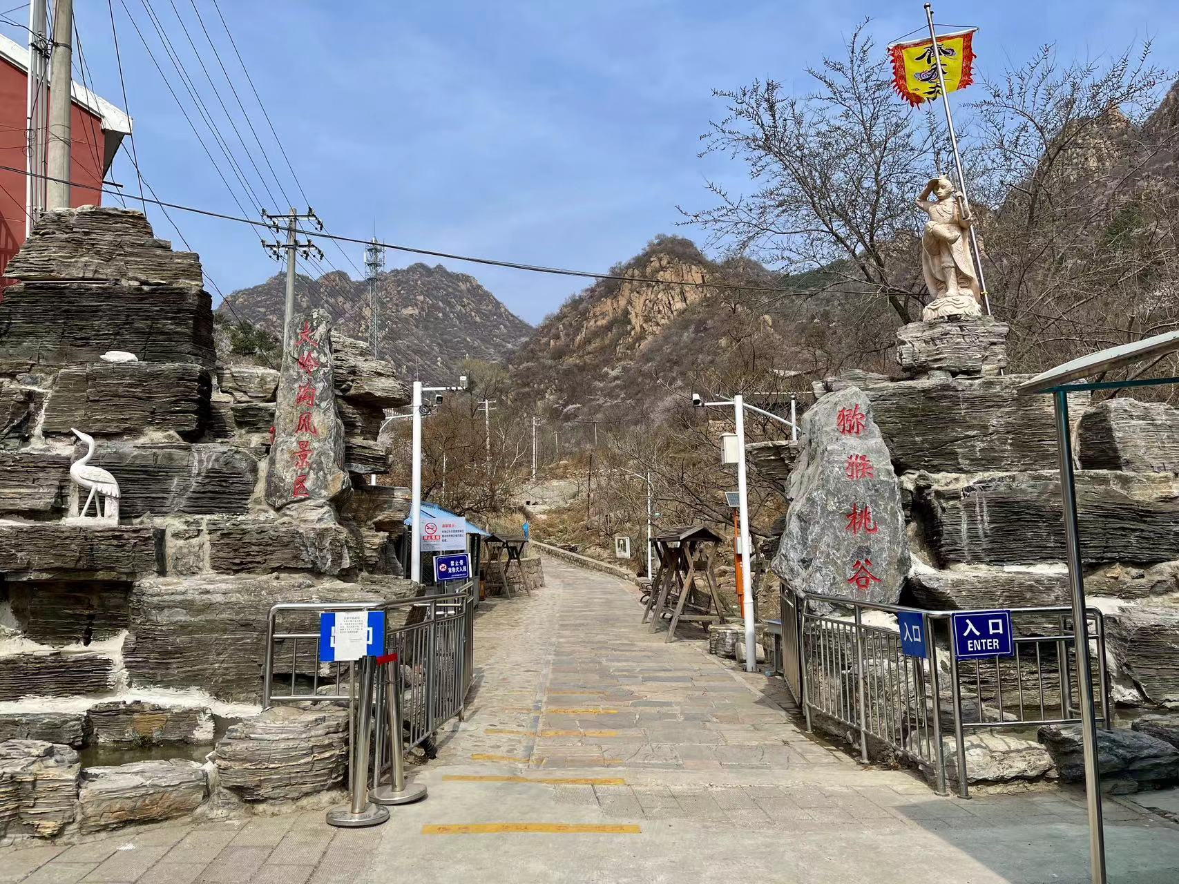 大岭沟猕猴桃谷风景区明起迎客|猕猴桃_新浪财经_新浪网