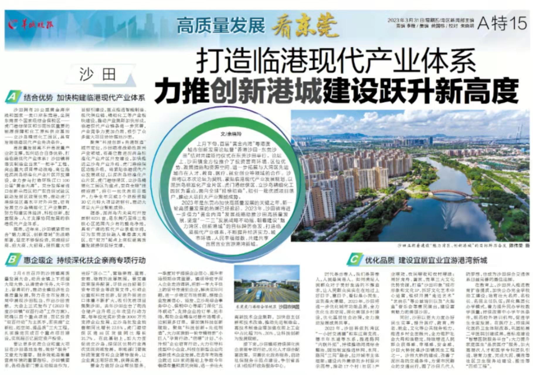 真相揭秘：梅河口维港城公寓服务到底怎么样？2025年真实体验和深度分析