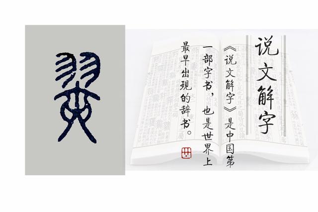 《说文解字》第695课：成语“翩若惊鸿”的“翩”是啥意思？-翩若惊鸿的读音