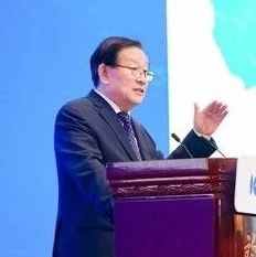 中国科协主席万钢重磅演讲:新能源汽车产业发展的新形势|芯片|自动驾驶|场景|研发|储能_新浪新闻