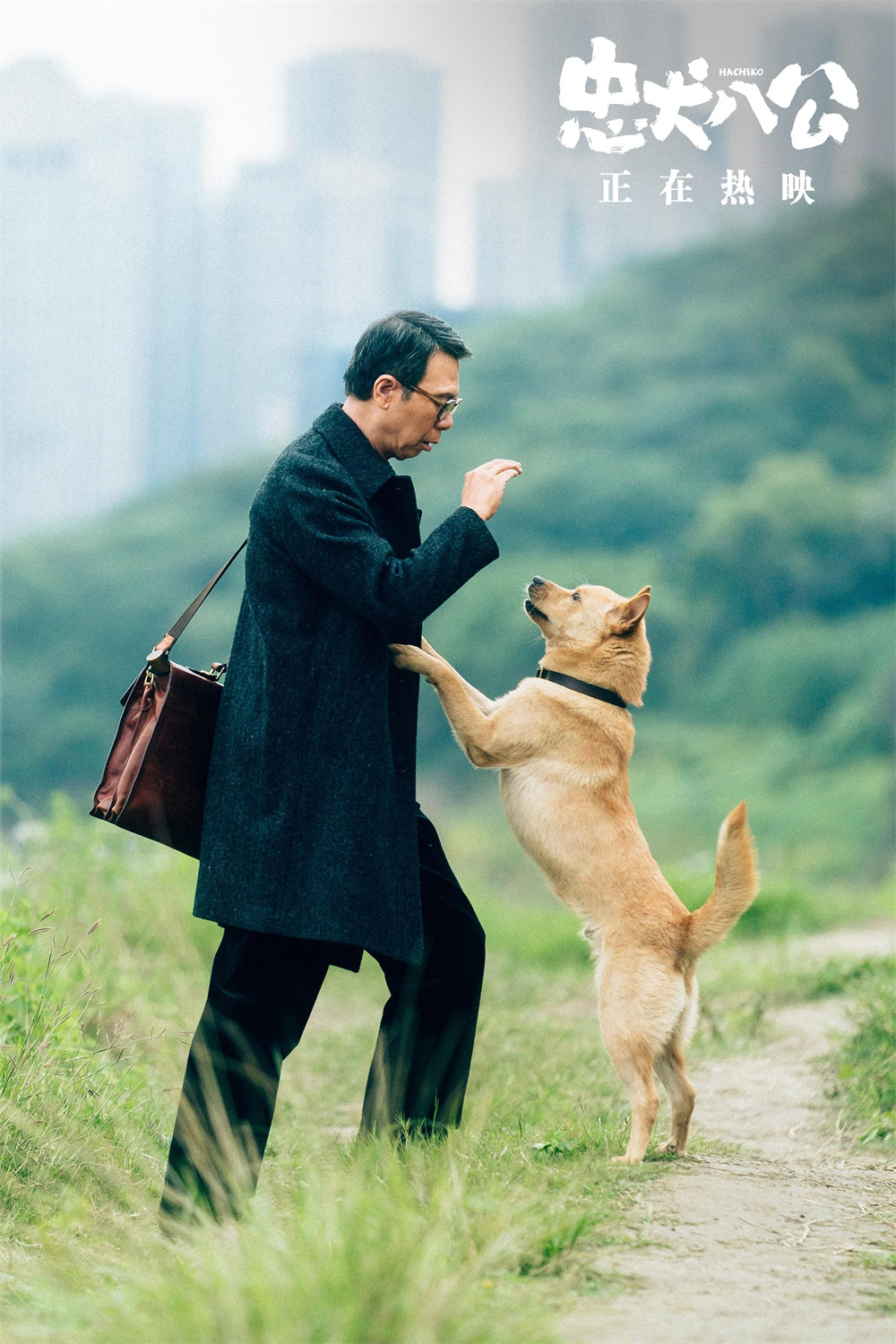 《忠犬八公》剧照