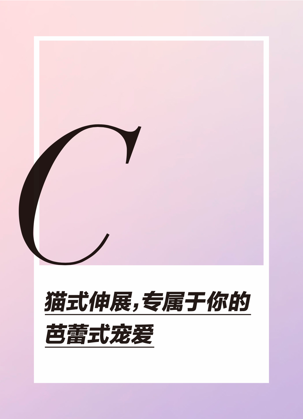 和欧拉芭蕾猫一起，延展爱的定义-欧拉芭蕾猫配置参数