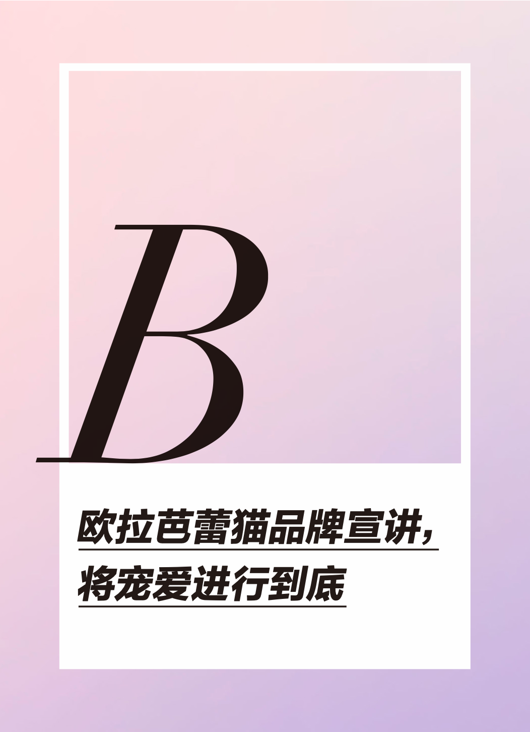 和欧拉芭蕾猫一起，延展爱的定义-欧拉芭蕾猫配置参数