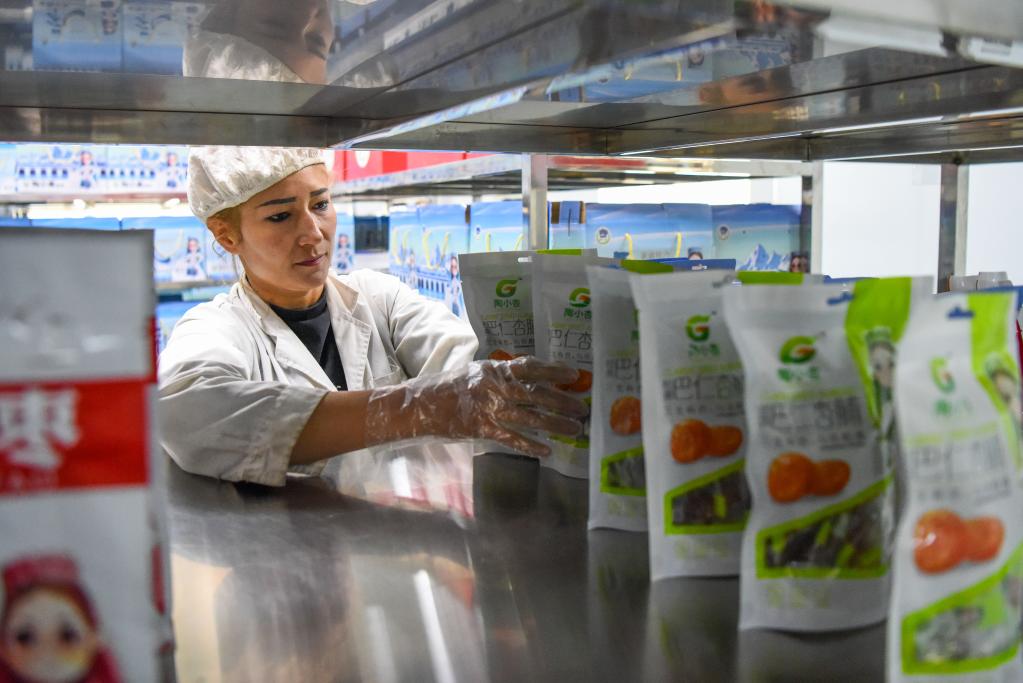 3月27日,在新疆阿克陶县国投公司的特色农副产品加工车间,工人为