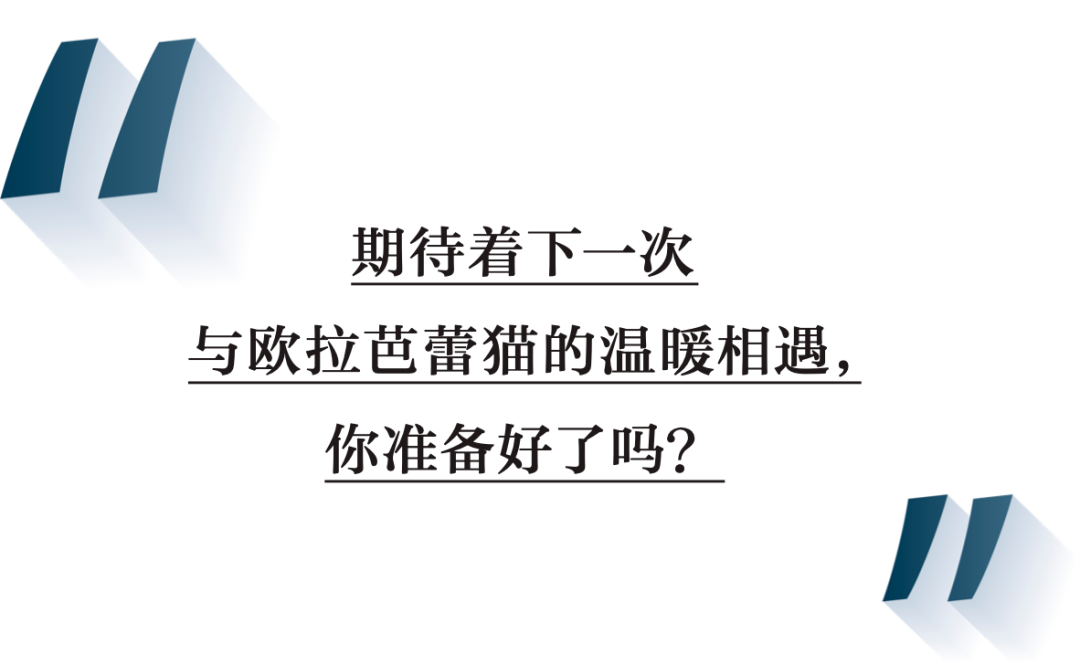 和欧拉芭蕾猫一起，延展爱的定义-欧拉芭蕾猫配置参数