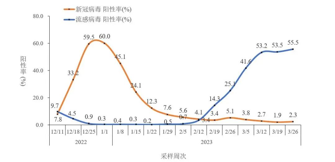 图2-5 全国哨点医院流感样病例新冠和流感病毒阳性率变化趋势（数据来源于402家网络实验室）