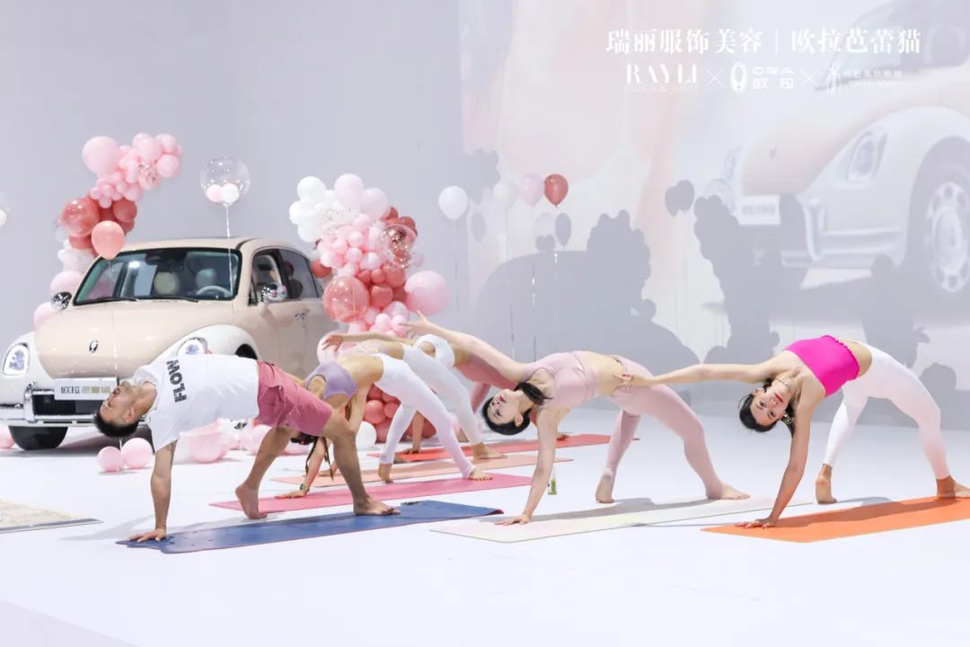 和欧拉芭蕾猫一起，延展爱的定义-欧拉芭蕾猫配置参数