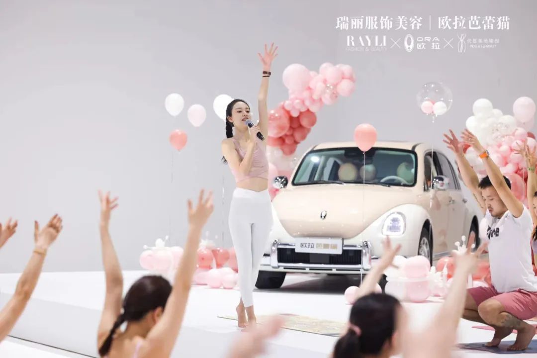 和欧拉芭蕾猫一起，延展爱的定义-欧拉芭蕾猫配置参数