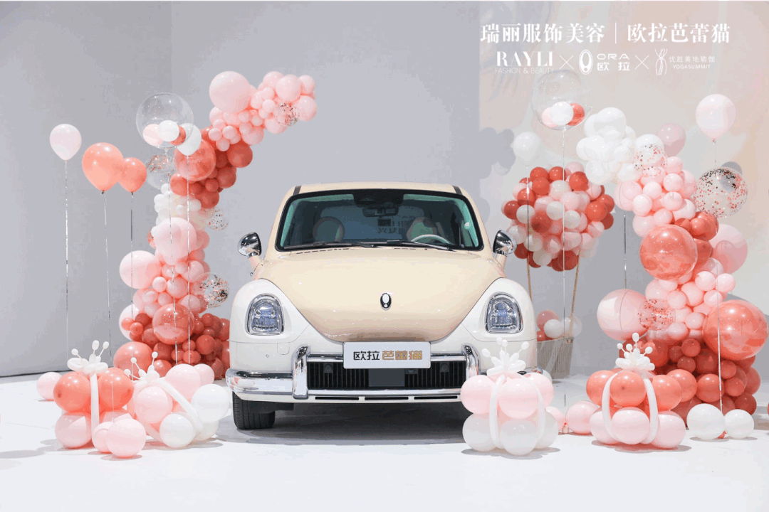 和欧拉芭蕾猫一起，延展爱的定义-欧拉芭蕾猫配置参数