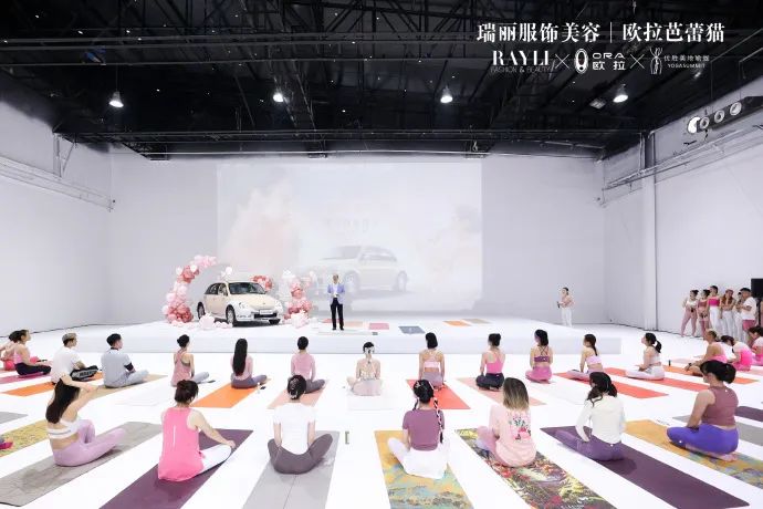 和欧拉芭蕾猫一起，延展爱的定义-欧拉芭蕾猫配置参数