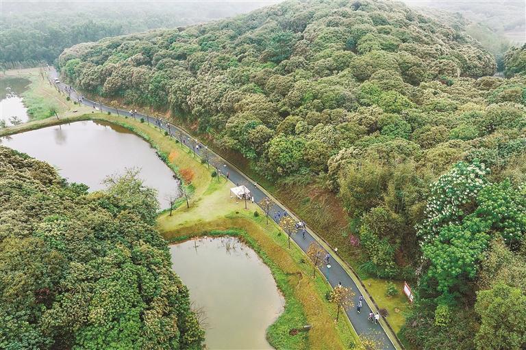 "星星的孩子"罗田森林公园欢笑开跑|表演_新浪新闻