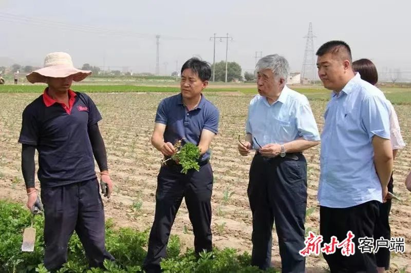 兰州市食品药品检验检测研究院院士工作站团队在高原夏菜基地调研。