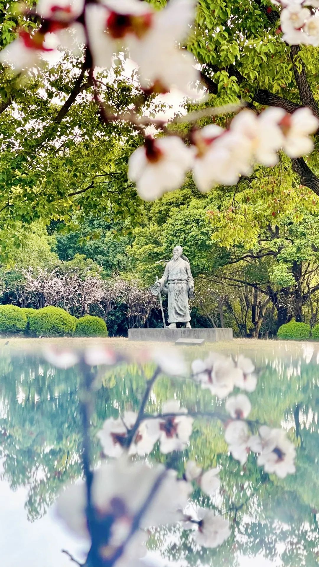 上海中医药大学 @afi