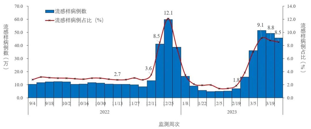 图2-4 全国哨点医院报告的流感样病例数及占比变化趋势（数据来源于824家哨点医院）