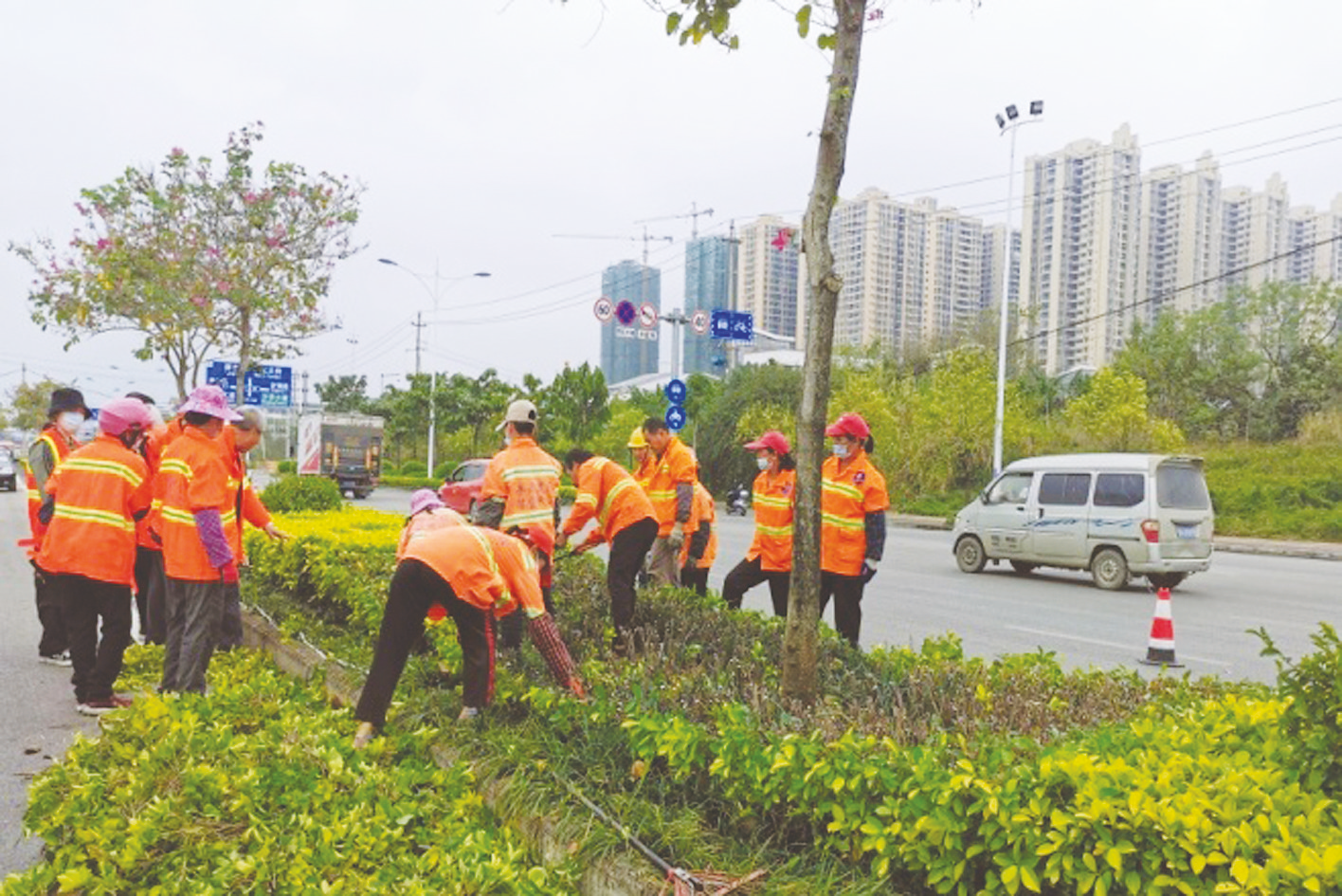 seo优化新手怎么做外推蜘蛛池