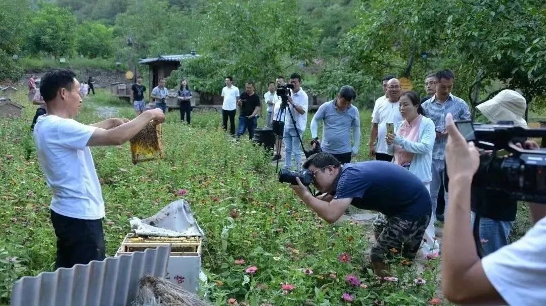 图源白马滩镇