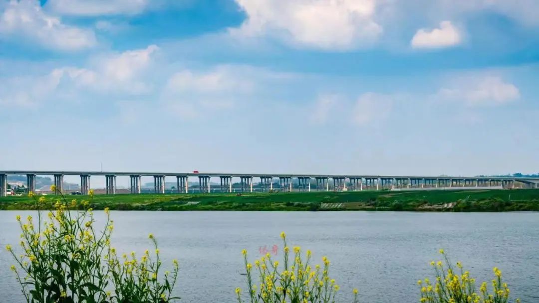 潼南双江的合安高速路涪江特大桥。王华侨 摄