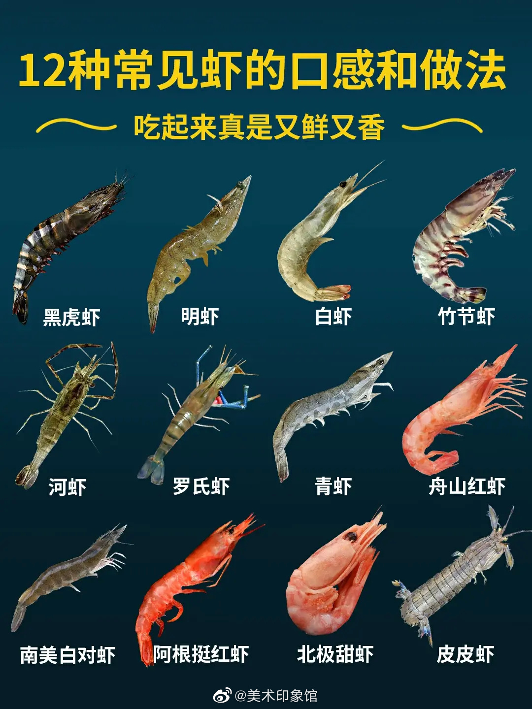 12种常见虾的口感和特点,附上烹饪做法 !码了_新浪新闻