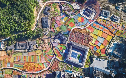 大田县济阳乡济阳村依托不可多见的明清建筑集群,充分做好山田文章