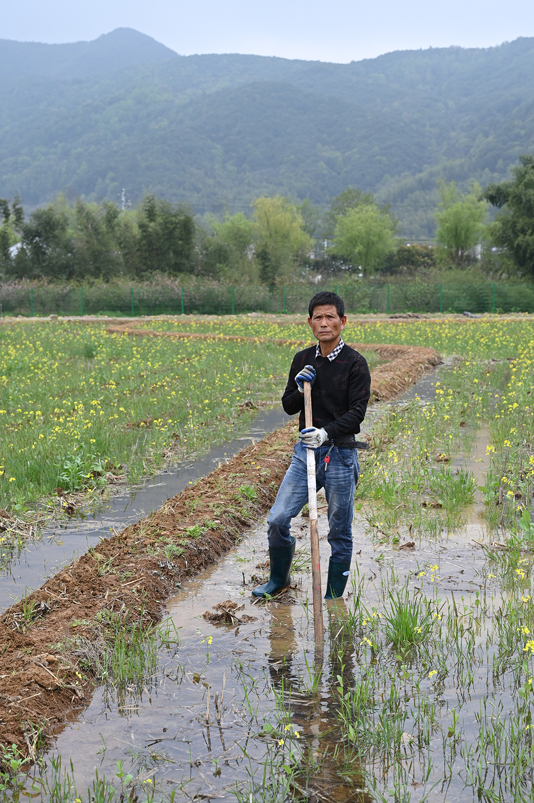 2023年3月31日,宁波余姚市梁弄镇.