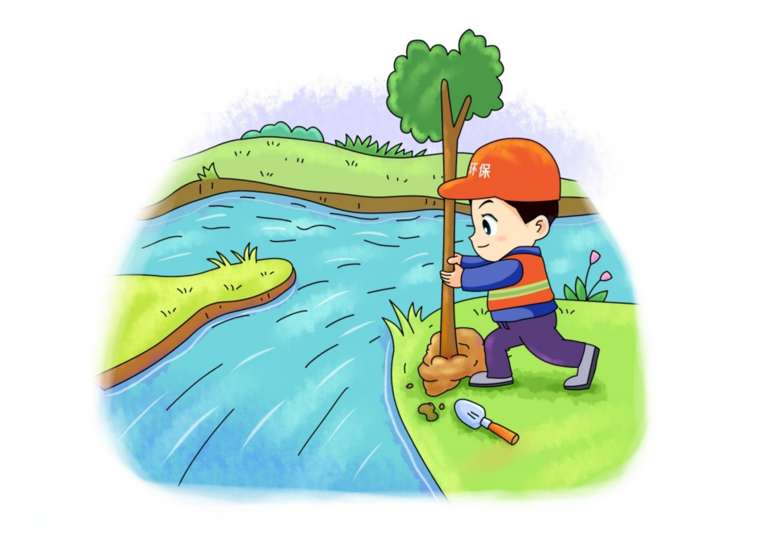 环保科普丨水环境——湿地对水生态环境有什么作用？-湿地保持水土的特别之处有哪些