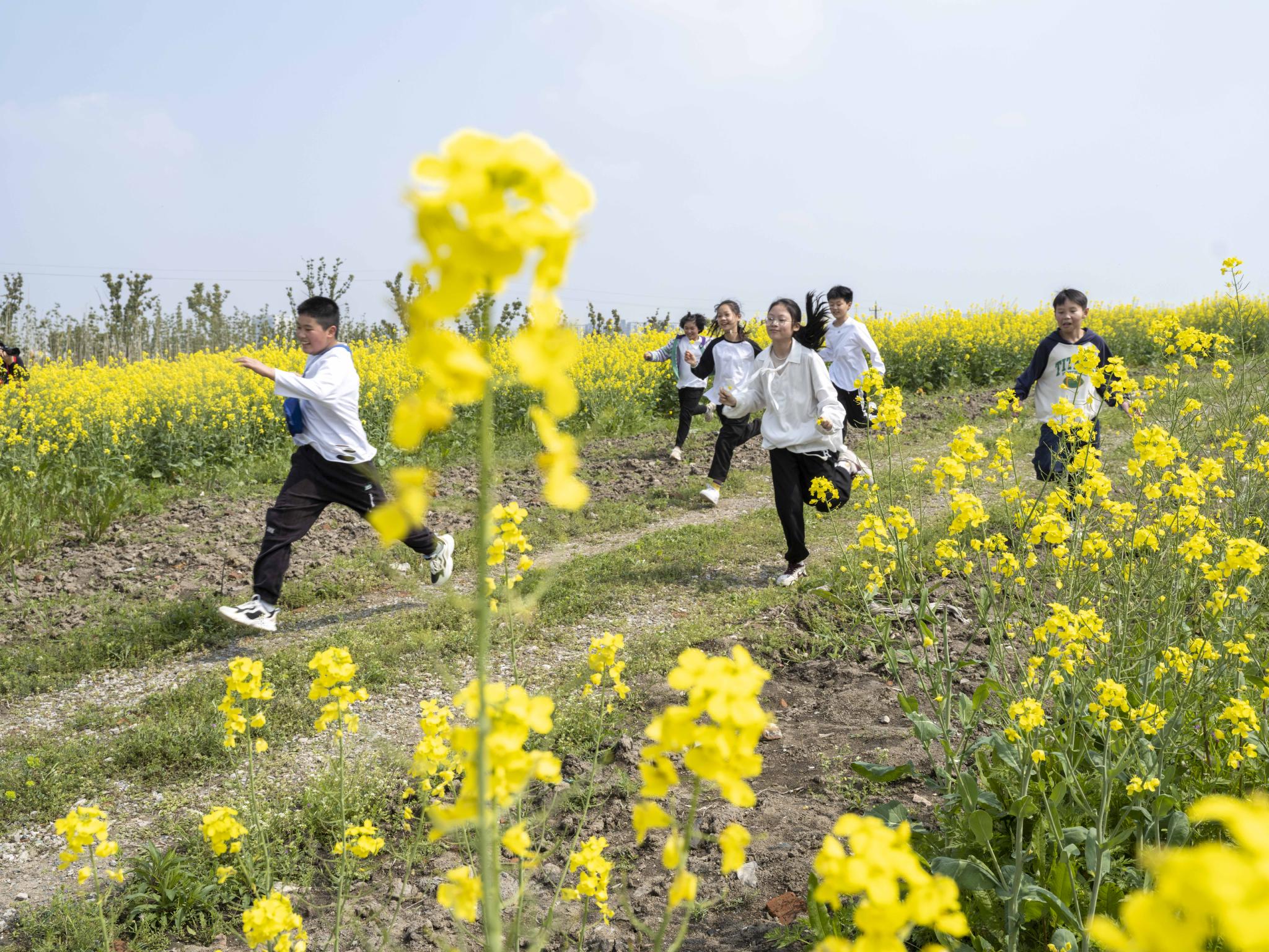 2023年4月1日,一群少年奔跑在灵粮农场的油菜花里