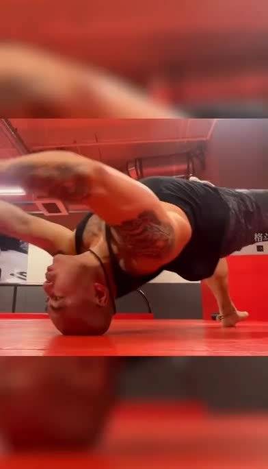 这一身横练功夫,真是虎虎生威!别走,吃洒家一拳!