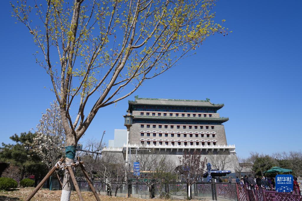 北京中轴线的春天