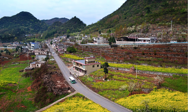 村干部不知该干啥？乡村振兴不是驻村干部的独角戏-乡村干部在乡村振兴中存在的问题
