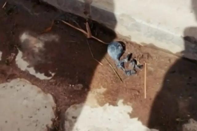 小镇突现“外星人”尸体，不久后又神秘消失，真相到底是什么-外星人村庄