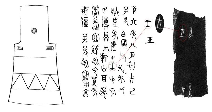 甲骨文,金文中的"王"字