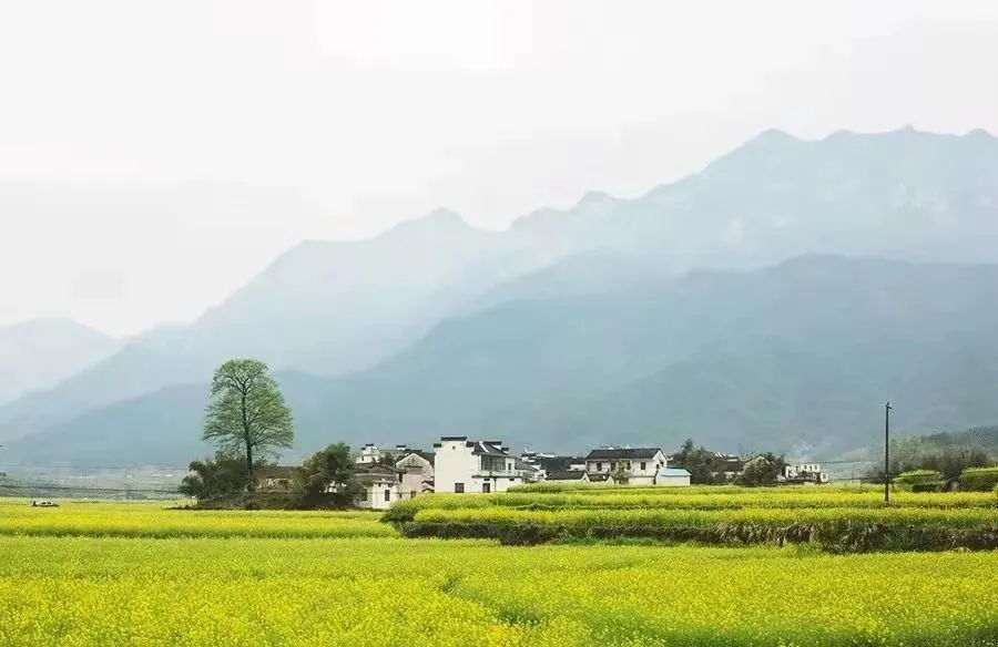 清明为什么要回乡扫墓？这是我听过最好的答案-《清明为什么要回乡扫墓,这是我听过最好的答案!》